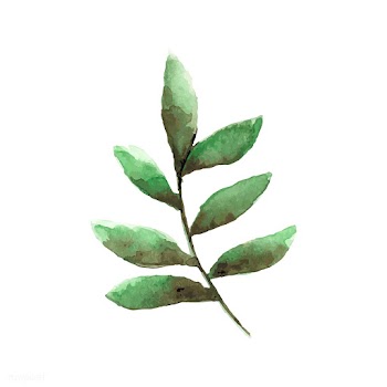 Smilax branch watercolor style vector | Free stock vector - 489231