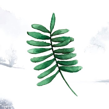 Smilax branch watercolor style vector | Free stock vector - 489233