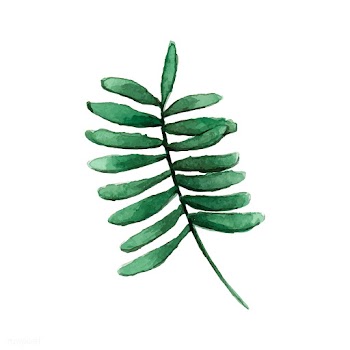 Smilax branch watercolor style vector | Free stock vector - 489258
