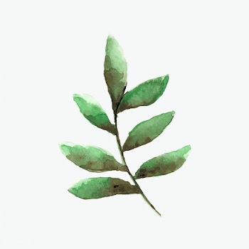 Smilax branch watercolor style vector | Free stock vector - 489287