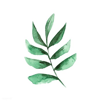 Smilax branch watercolor style vector | Free stock vector - 489338