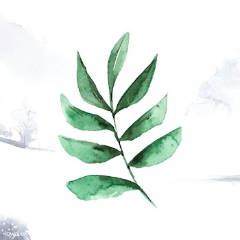 Smilax branch watercolor style vector | Free stock vector - 489340