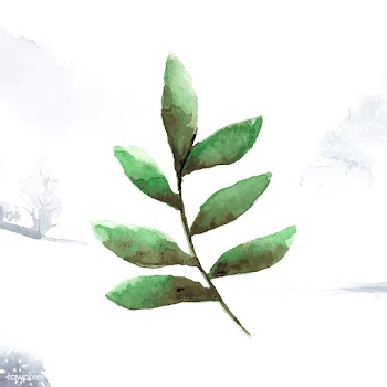 Smilax branch watercolor style vector | Free stock vector - 489368