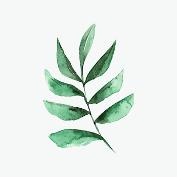 Smilax branch watercolor style vector | Free stock vector - 489370