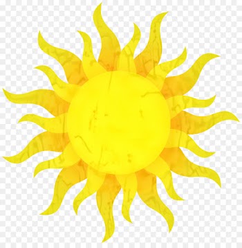 Smiley, Desktop Wallpaper, Computer Icons, Yellow, Sunflower PNG