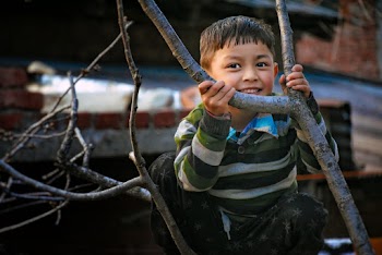 Smiling Boy Beside Bare Tree