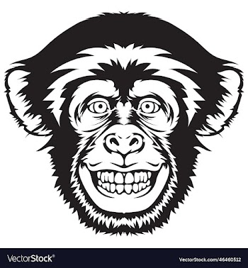 smiling chimpanzee