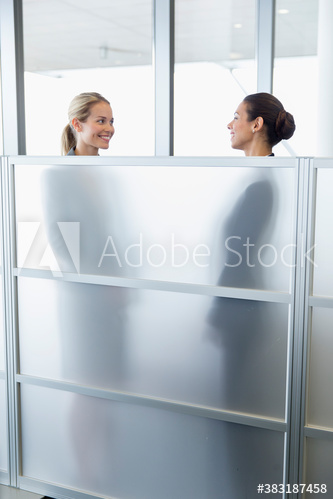 Smiling corporate businesswomen talking in office