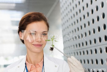 Smiling female botanist examining seedling