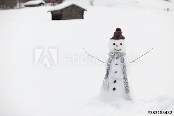 Smiling snowman with knit hat and scarf in snowy field