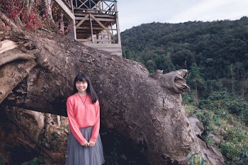 Smiling Woman Standing on Tree Trunk Under White Clouds