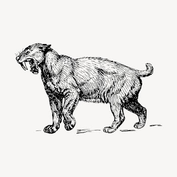 Smilodon tiger clipart, vintage animal | Free Vector - rawpixel