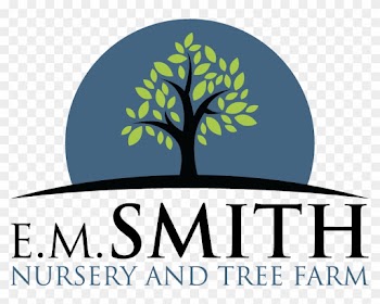 Smith Nursery &amp; Tree Farm Goodhope, Ga Shade Trees - Tree