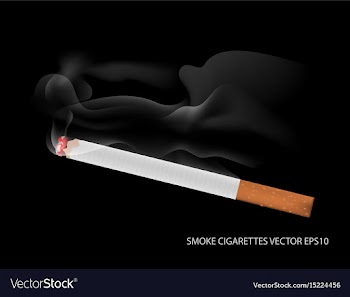 Smoke and cigarettes vector image