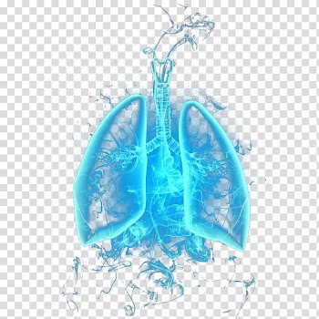 Smoke effects lung transparent background PNG clipart