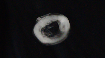 Smoke Ring Png (96+ images in Collection) Page 3