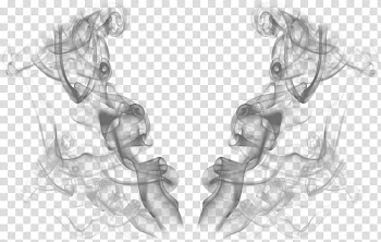 Smoke, SelenaPurpleewDirect () icon transparent background PNG clipart