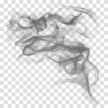 Smoke, SelenaPurpleewDirect () icon transparent background PNG clipart