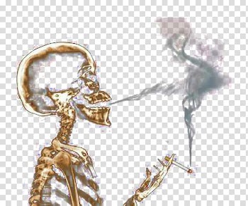Smoking day smoking people skull transparent background PNG clipart