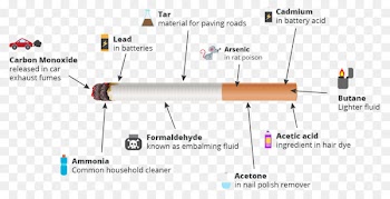 Smoking facts Tobacco smoking Cigarette - cigarette 