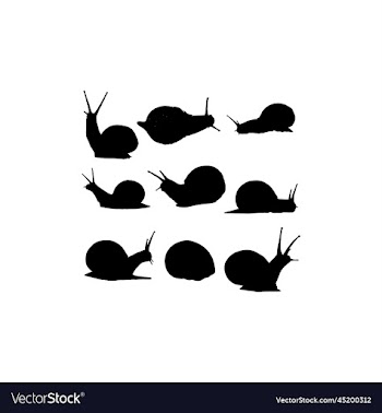 snail animal spiral silhouette design