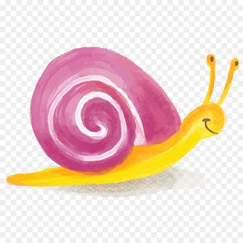 Snail Cartoon Vector graphics Drawing Illustration - copse salyangoz 