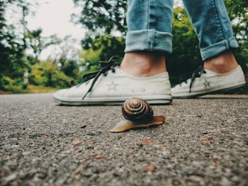 Snail Near Feet