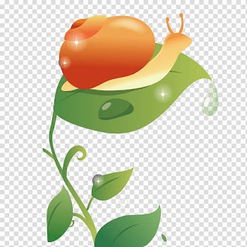 , Snail on the leaves transparent background PNG clipart