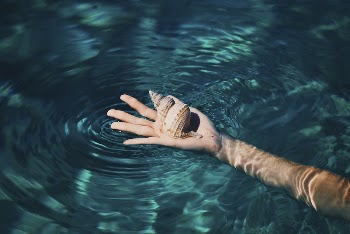 Snail on woman hand in water. | Free Photo - rawpixel