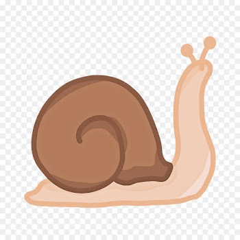 snail snails and slugs slug sea snail clip art