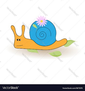 Snail vector image