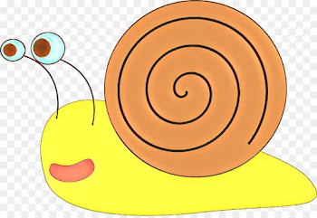 Snail, Yellow, Line, Snails And Slugs PNG