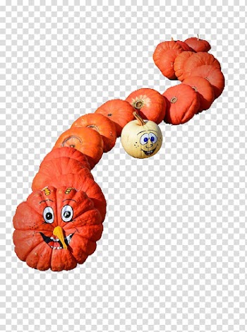 Snake Calabaza Winter squash, Creative smiley pumpkin transparent background PNG clipart