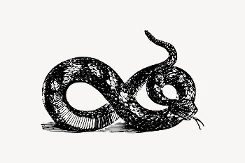 Snake clipart, animal illustration vector. | Free Vector Illustration - rawpixel