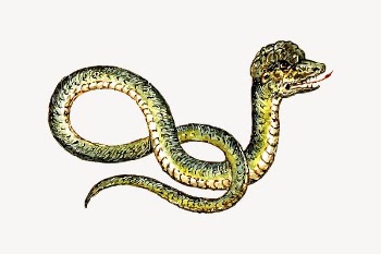 Snake clipart, animal illustration vector. | Free Vector Illustration - rawpixel