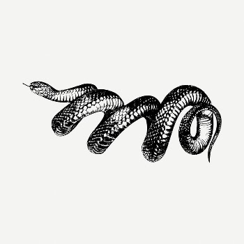 Snake clipart illustration psd. Free | Free PSD - rawpixel