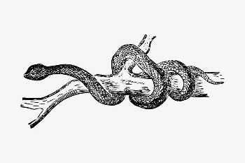Snake clipart, vintage animal illustration | Free Vector - rawpixel