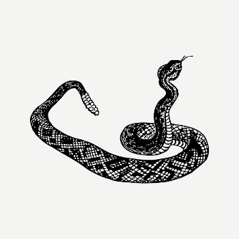 Snake collage element, black & | Free PSD Illustration - rawpixel