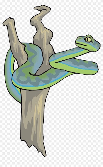 Snake Curled In A Tree Clip Art - Snake In A Tree