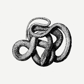Snake drawing, animal illustration psd. | Free PSD Illustration - rawpixel