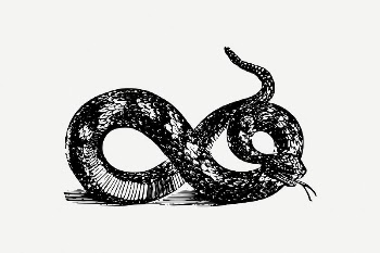 Snake drawing, animal illustration psd. | Free PSD Illustration - rawpixel