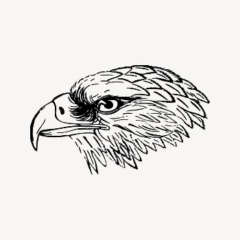 Snake eagle drawing, vintage animal | Free Vector Illustration - rawpixel