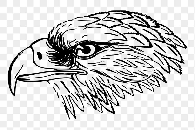 Snake eagle png sticker, vintage | Free PNG - rawpixel