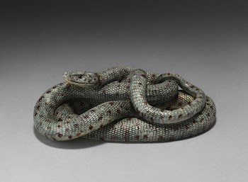 Snake | Free Photo - rawpixel