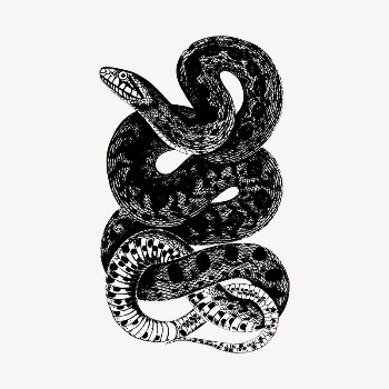 Snake illustration clipart vector. Free | Free Vector - rawpixel