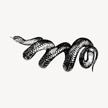 Snake illustration clipart vector. Free | Free Vector - rawpixel