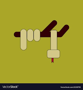 Snake logo design on background snake sign vector image