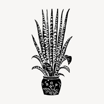 Snake plant clipart, vintage illustration | Free Vector - rawpixel