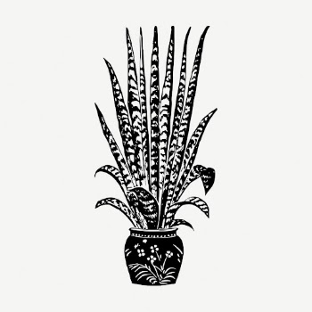 Snake plant collage element, vintage | Free PSD - rawpixel