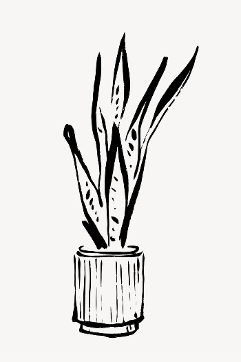 Snake plant line art, Chinese | Free Photo - rawpixel